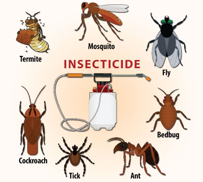 How to Protect Your Home from Insects, Mosquitoes, Cockroaches & Rats (Without Losing Your Mind)