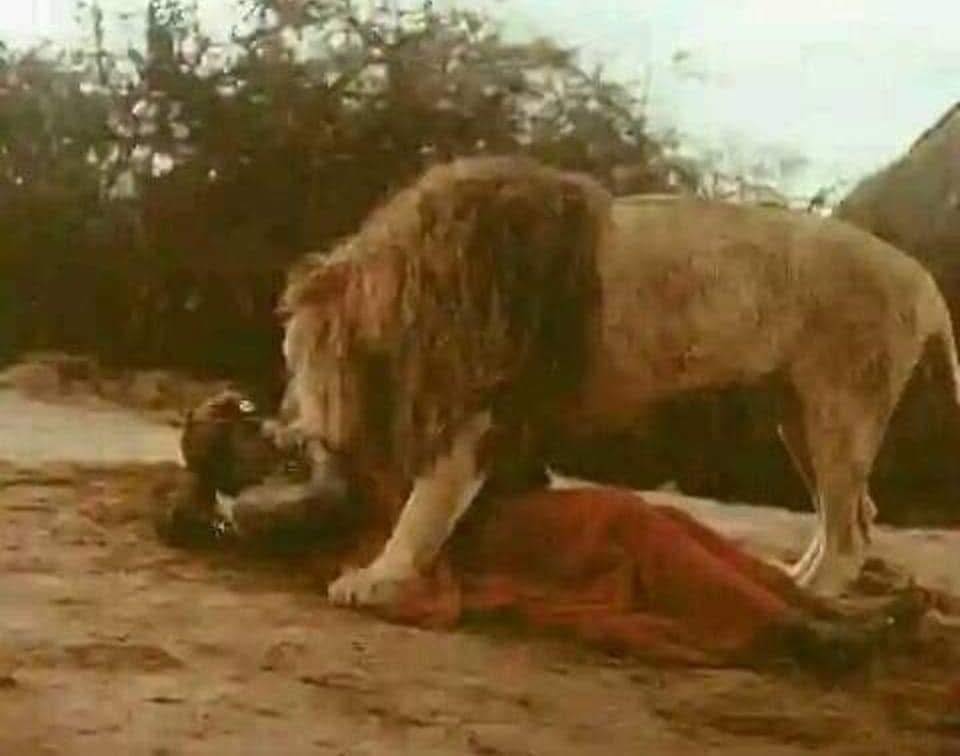 FROM BIOLOGY GRAD TO “GORILLA” AT THE ZOO: HOW FAR WOULD YOU GO FOR A JOB?